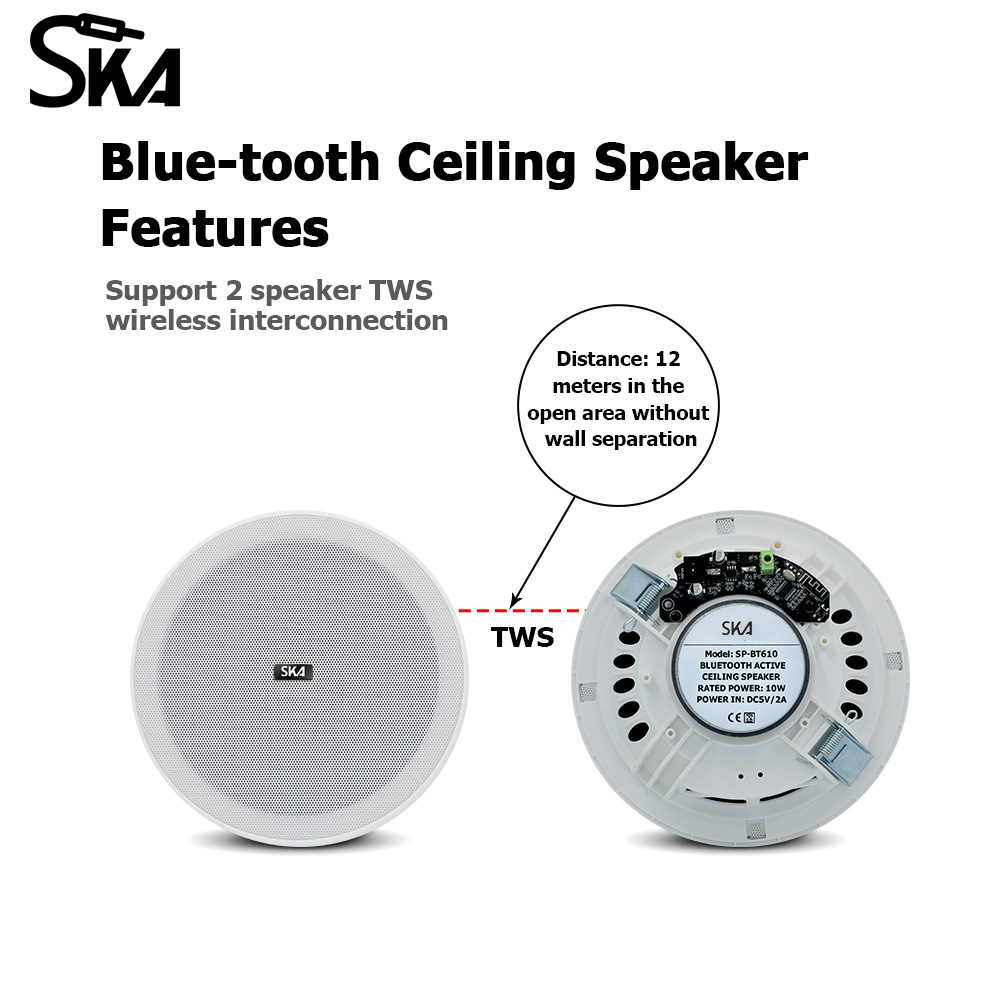 Ceiling Bluetooth Speaker 6inc - Home Cinema Speaker System review and price